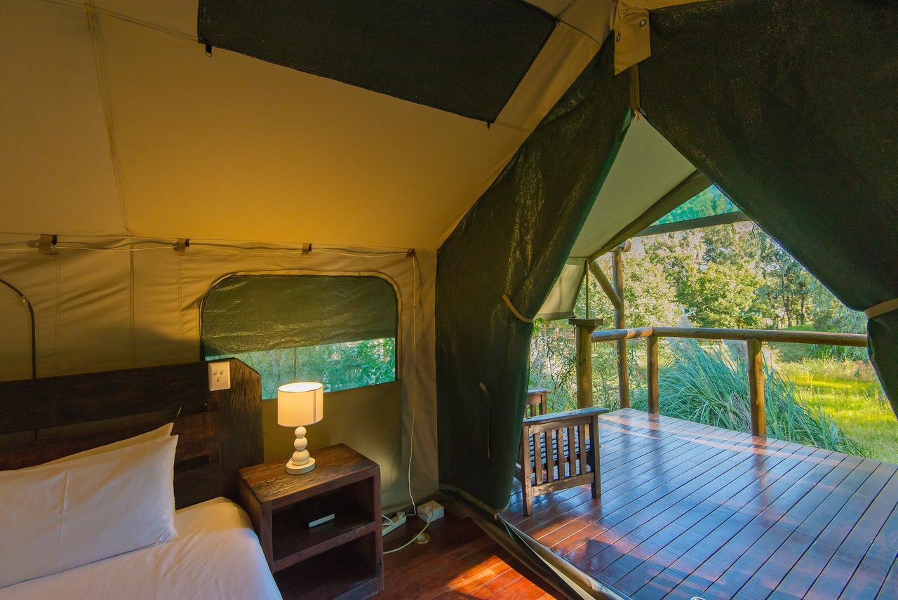 Amadwala Lodge Roodepoort Habitación foto
