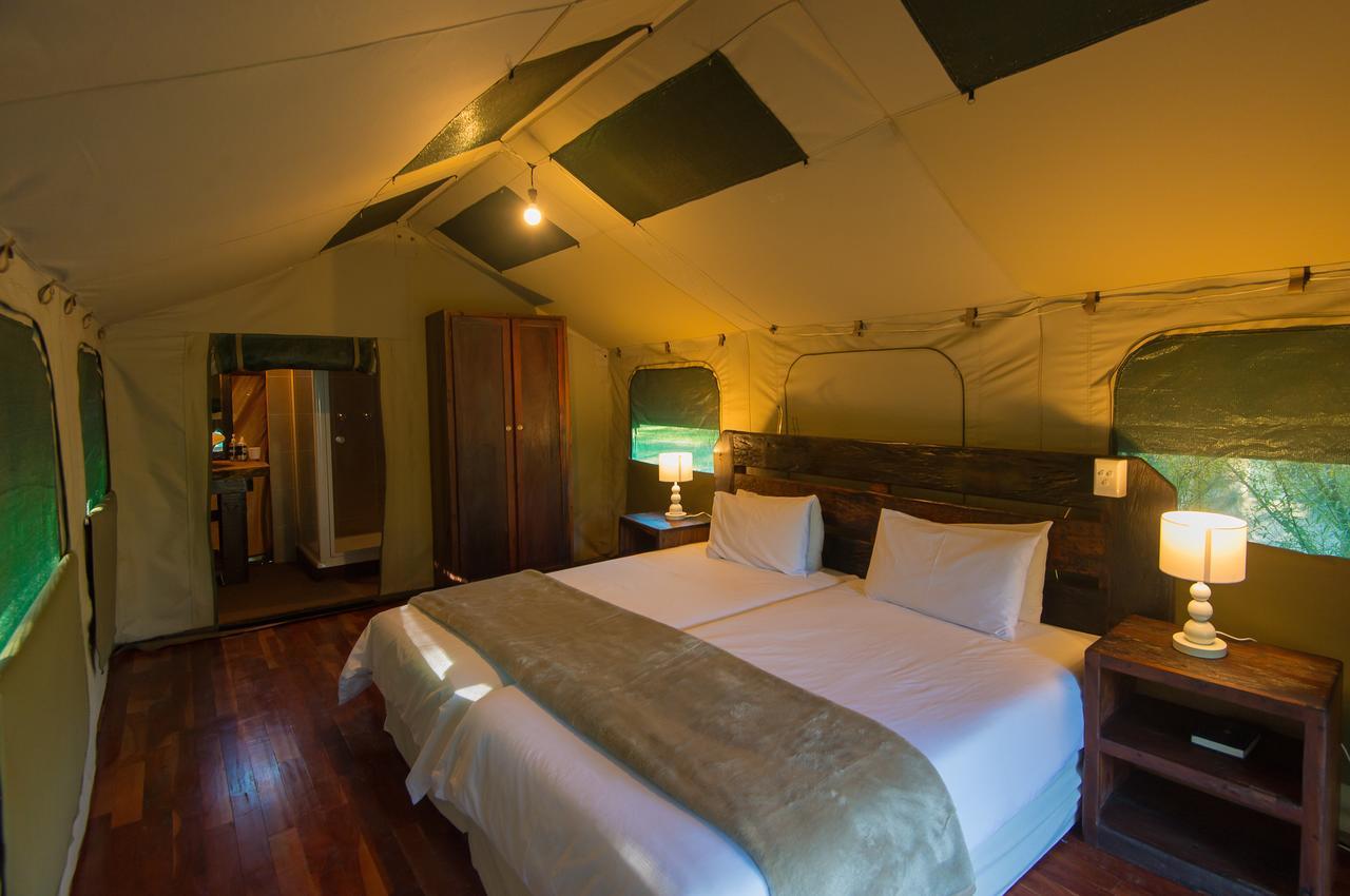 Amadwala Lodge Roodepoort Habitación foto